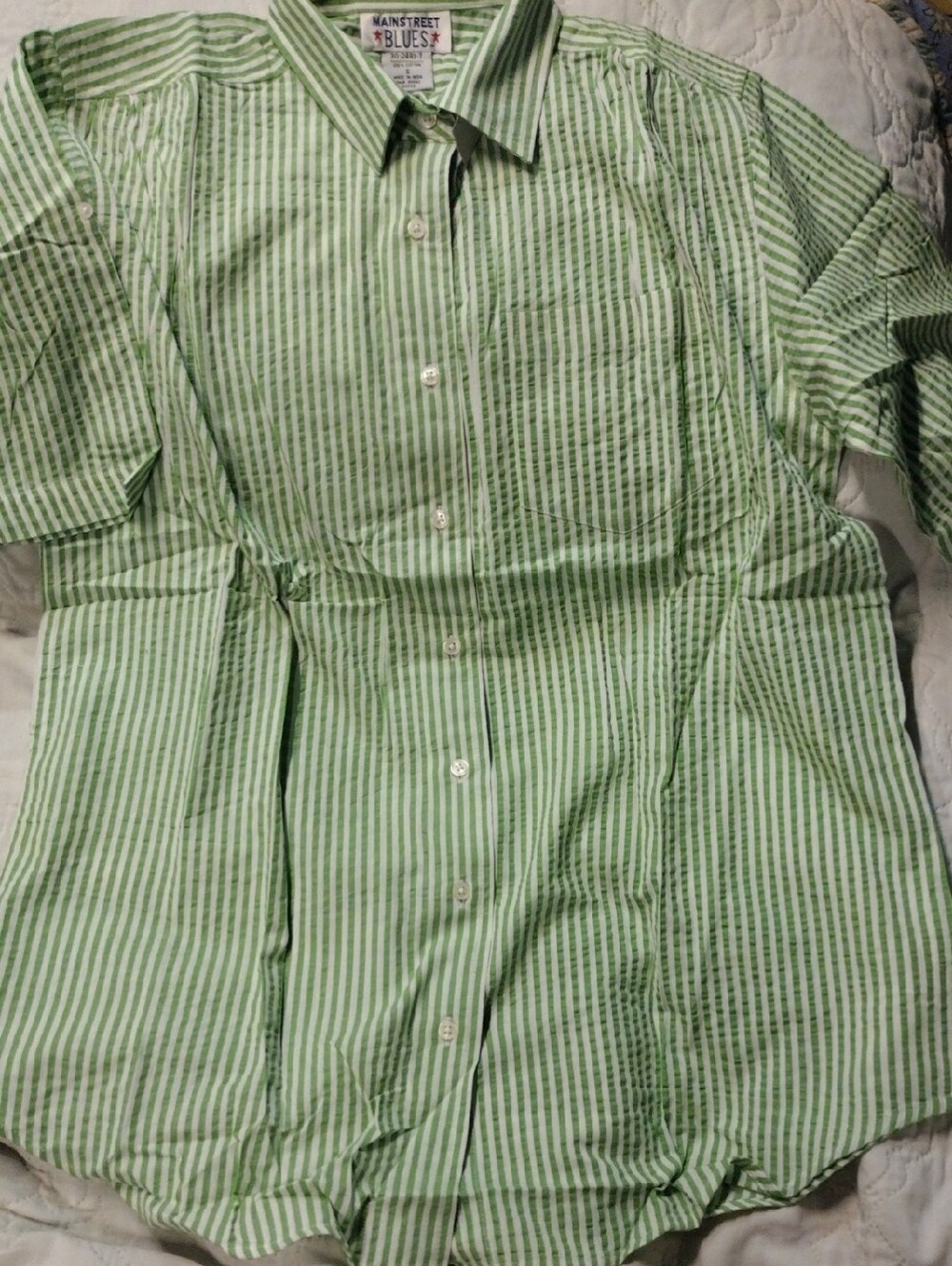 Mainstreet Blues Light Green Striped Button-Up Blouse